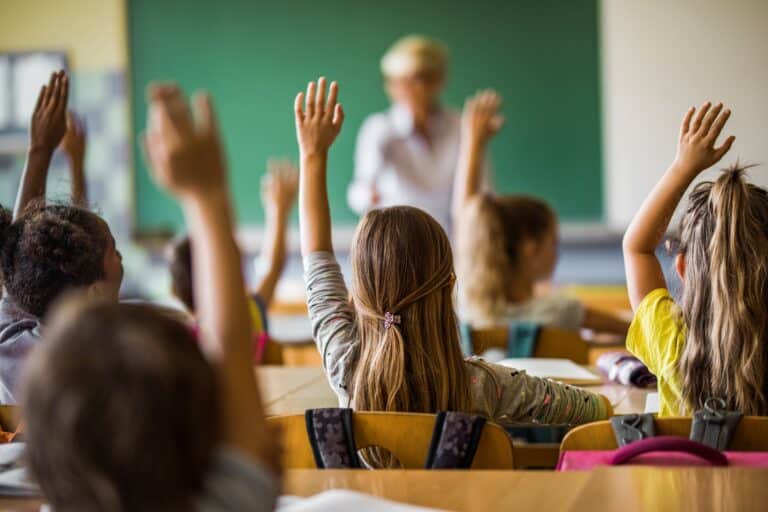schools and institutes